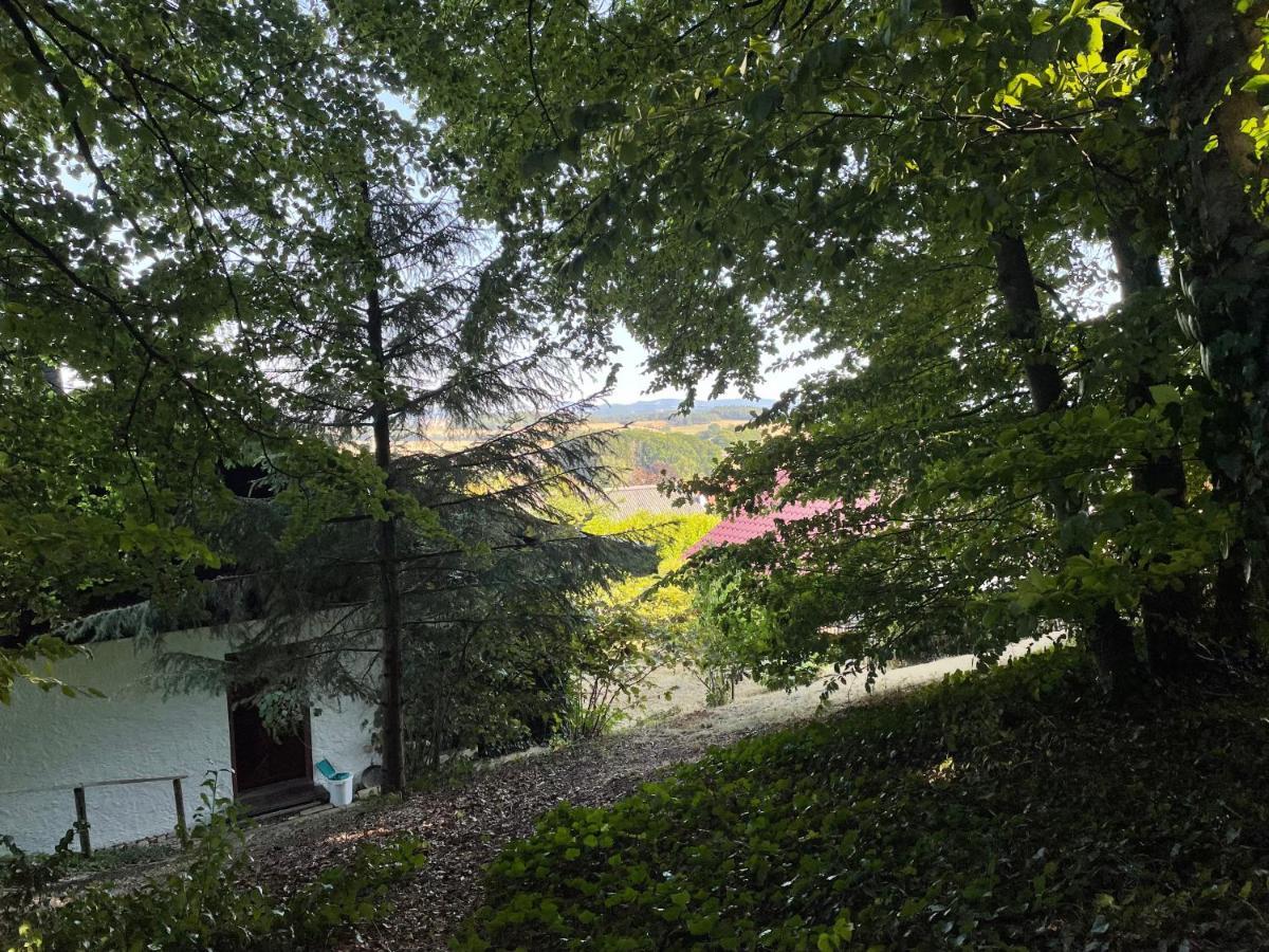 Ferienhaus Eifelblick Feusdorf エクステリア 写真